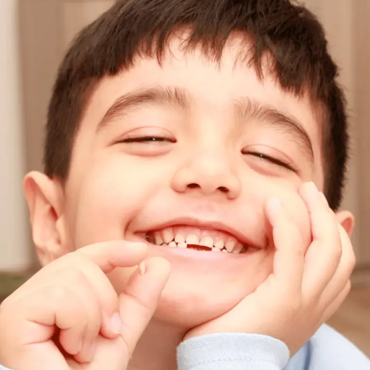 The Transition Between The Primary And Permanent Teeth